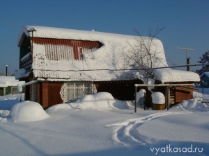 февраль в саду