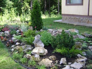 каменистый сад
