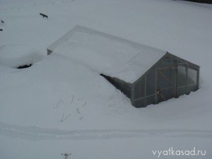 теплица в феврале