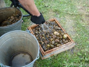 промывание гальки