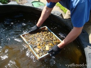 промывание гальки из пруда