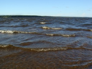 Белохолуницкий пруд