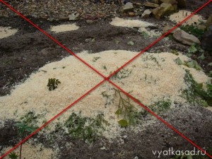 неправильное утепление растений на зиму