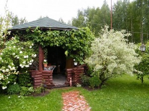 беседка