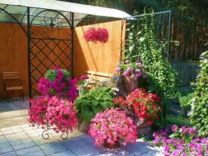 цветы в контейнерах