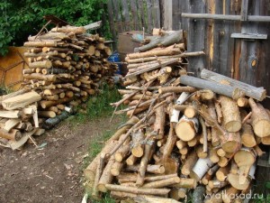 дрова
